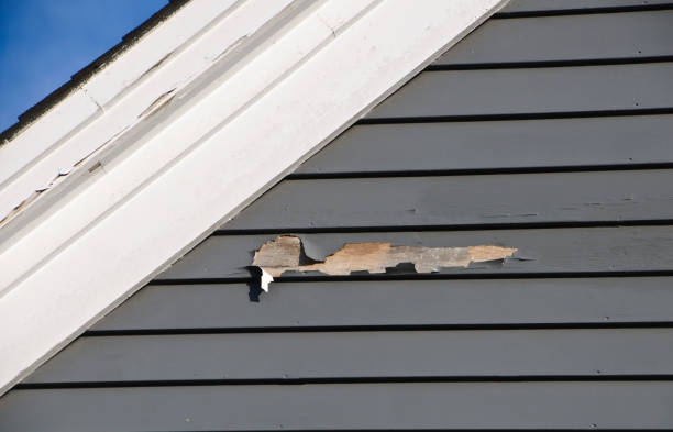 Best Siding Removal and Disposal  in Millville, DE